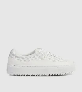 Dina Low Top sneakers by Beau Coops