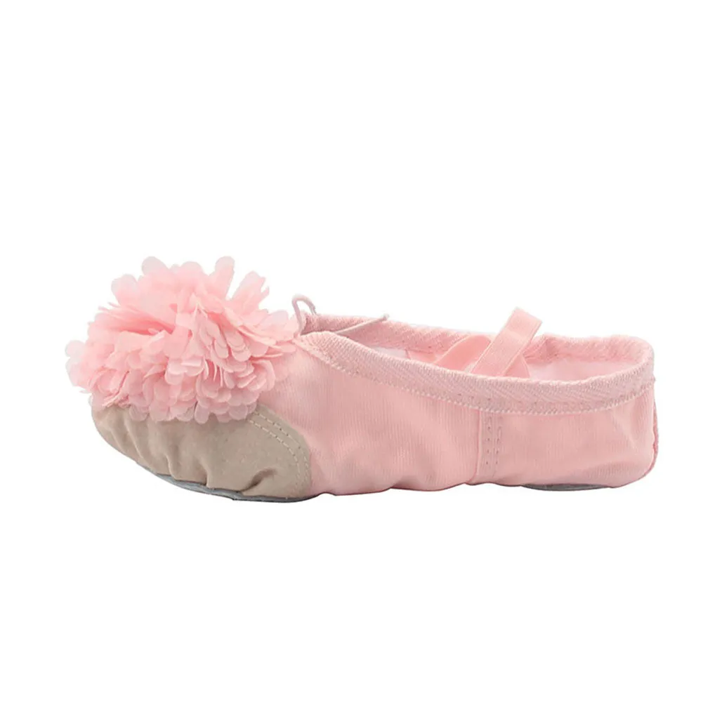 Woman's Canvas Ballet Dancing Shoes with Flower