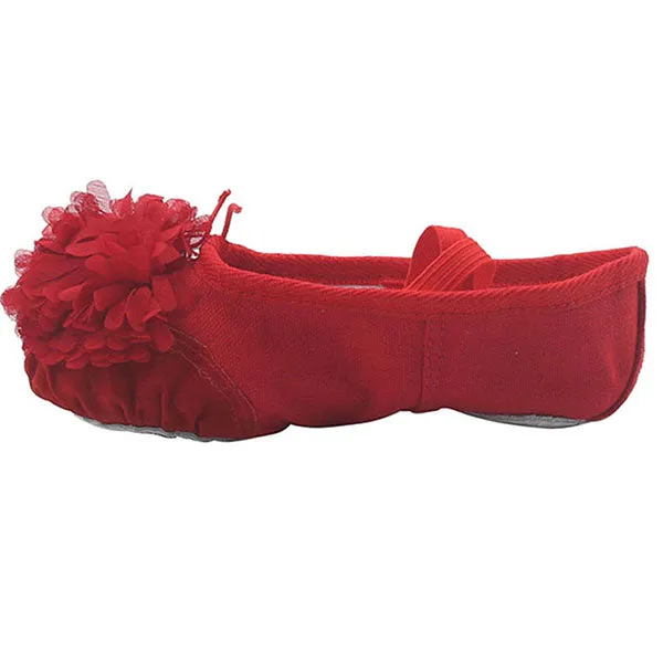 Woman's Canvas Ballet Dancing Shoes with Flower