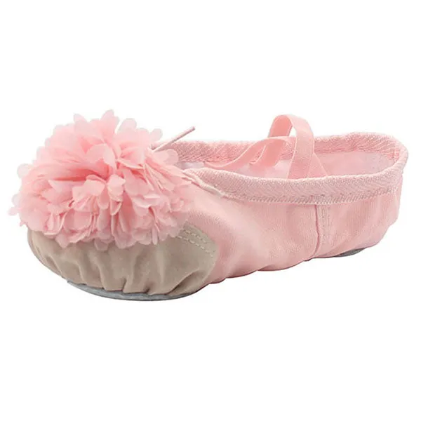 Woman's Canvas Ballet Dancing Shoes with Flower