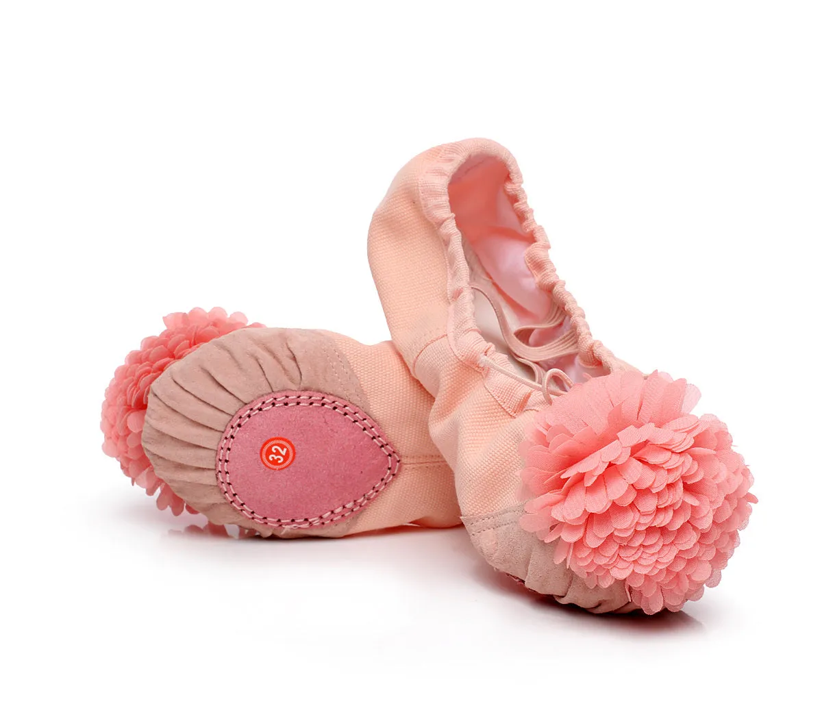 Woman's Canvas Ballet Dancing Shoes with Flower