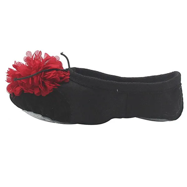 Woman's Canvas Ballet Dancing Shoes with Flower