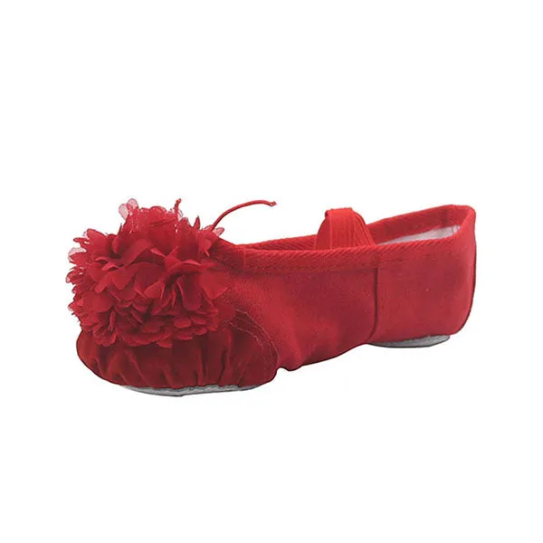 Woman's Canvas Ballet Dancing Shoes with Flower