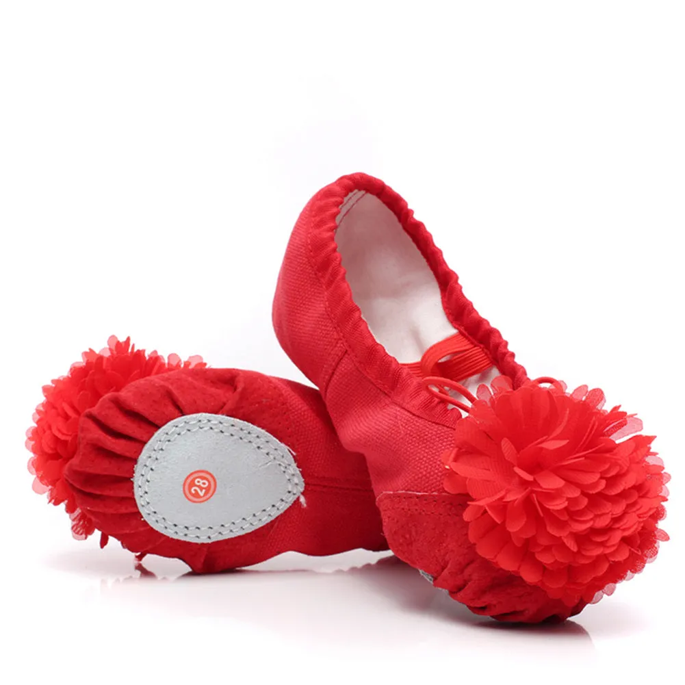 Woman's Canvas Ballet Dancing Shoes with Flower