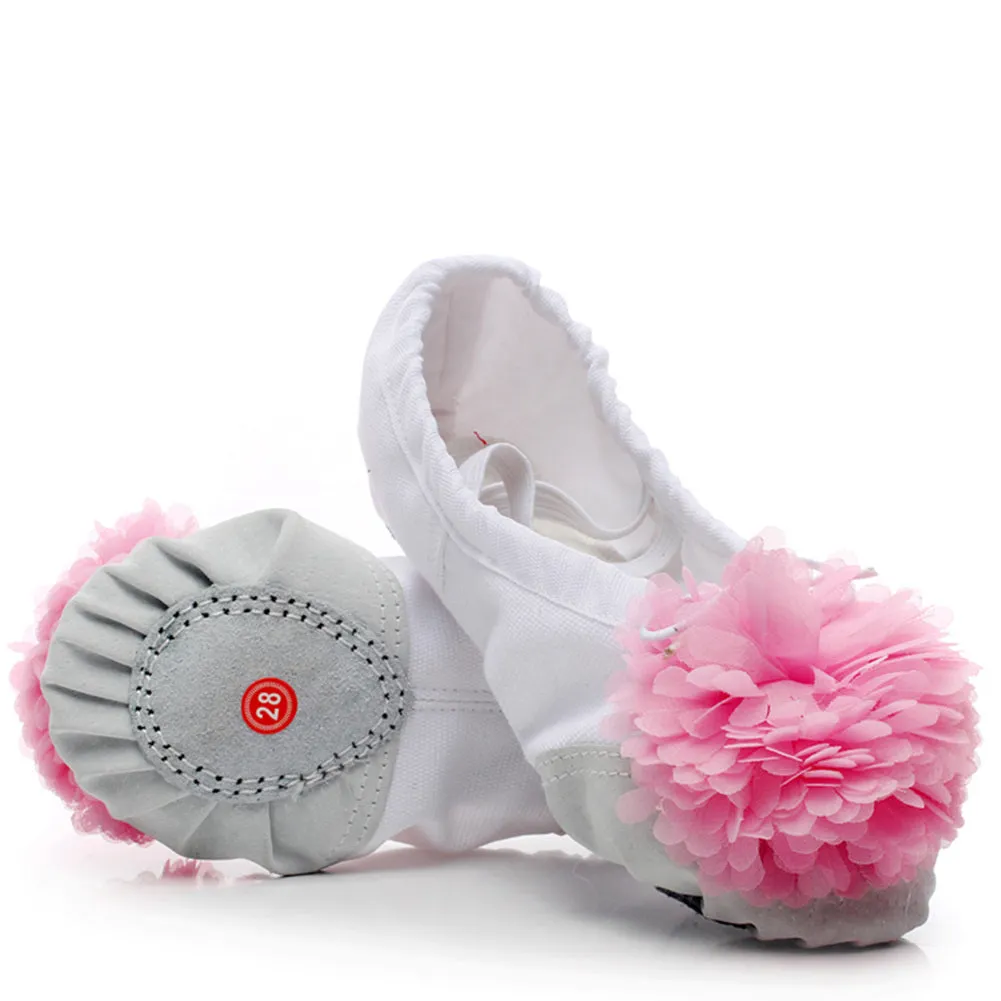Woman's Canvas Ballet Dancing Shoes with Flower