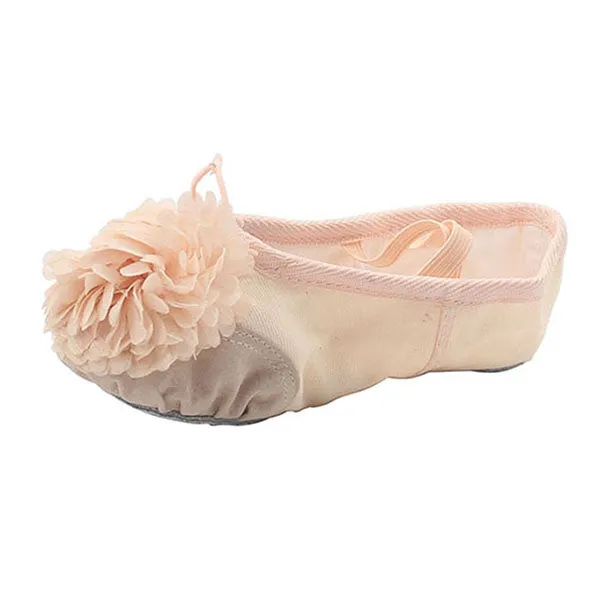 Woman's Canvas Ballet Dancing Shoes with Flower